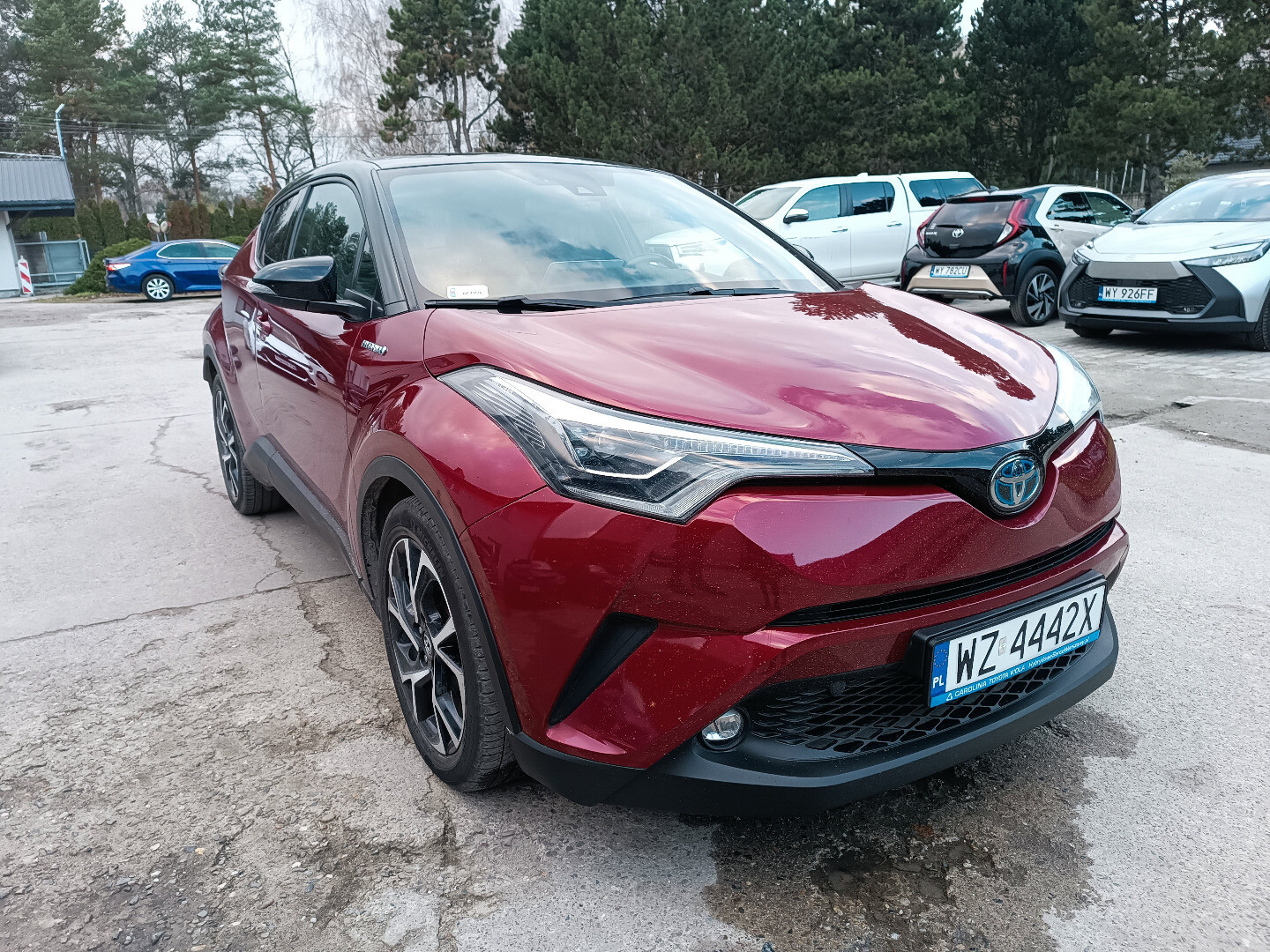 Toyota C-HR
